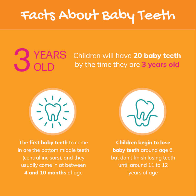 TrueCare Pediatric dental health infographic facts about baby teeth