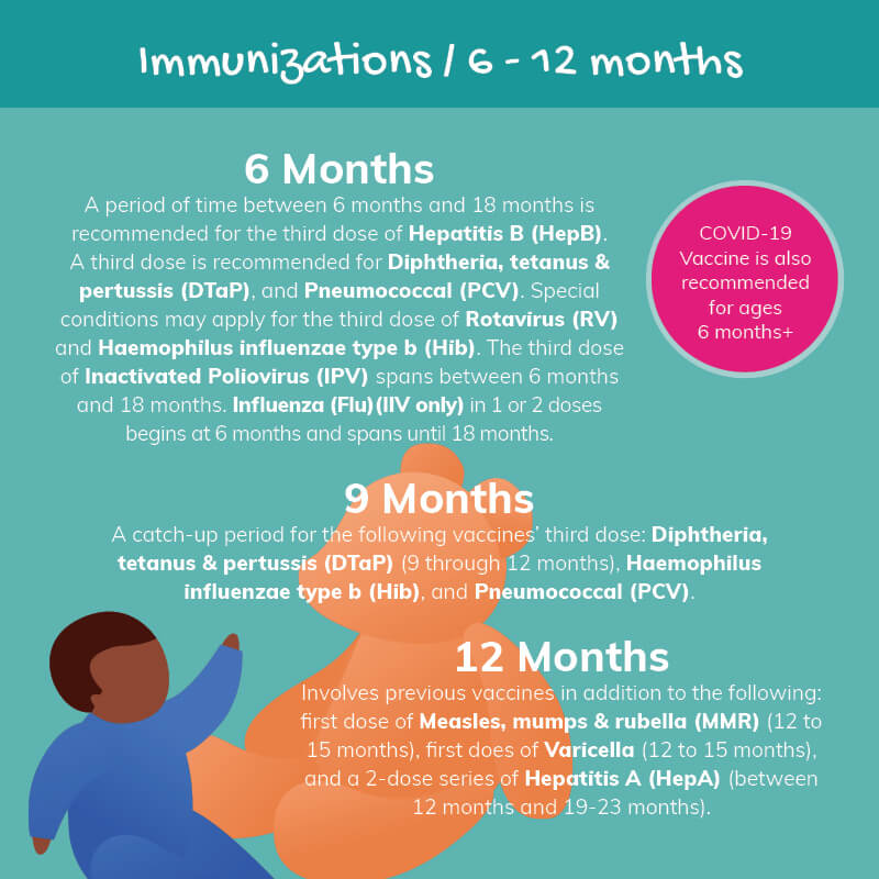 TrueCare Pediatric immunizations infographic 6 to 12 months